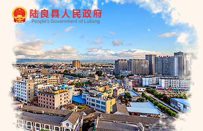 陆良县人民政府