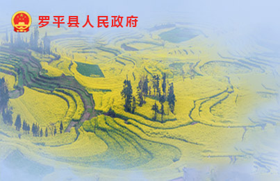 罗平县人民政府