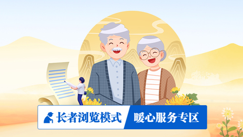 网站适老化及无障碍解决方案
