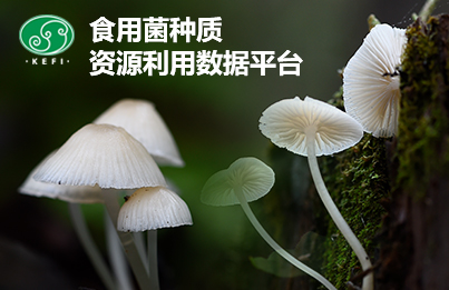 食用菌种质资源利用数据平台